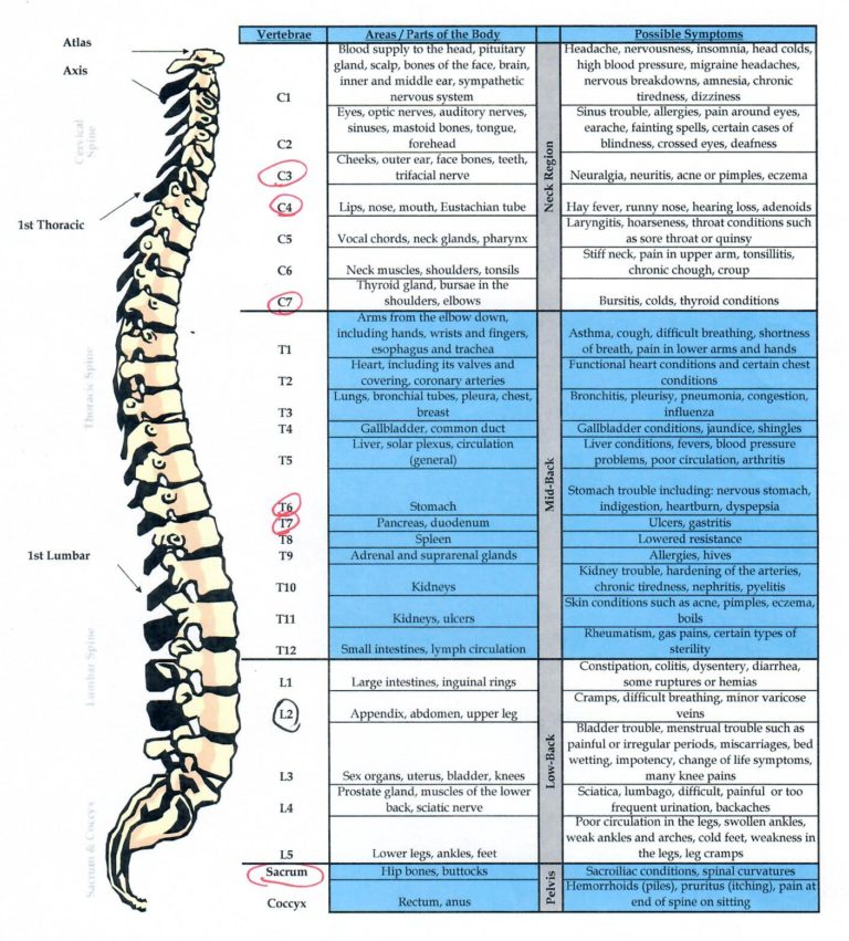 Is chiropractic care a good fit for your family? Being Fibro Mom