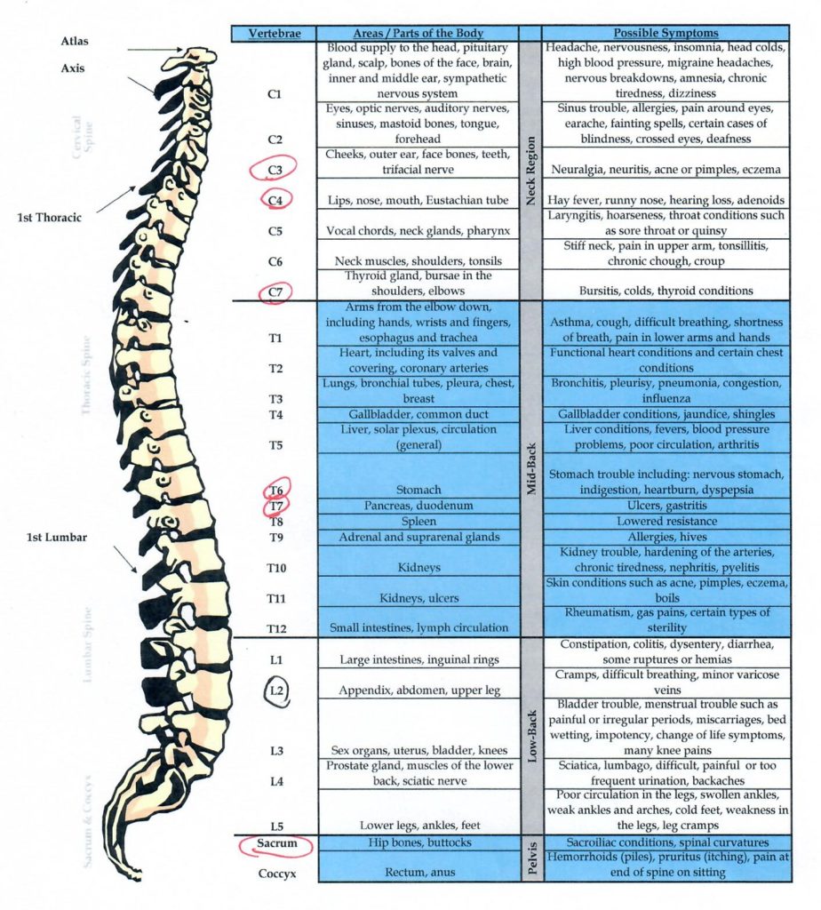 Is chiropractic care a good fit for your family? Being Fibro Mom